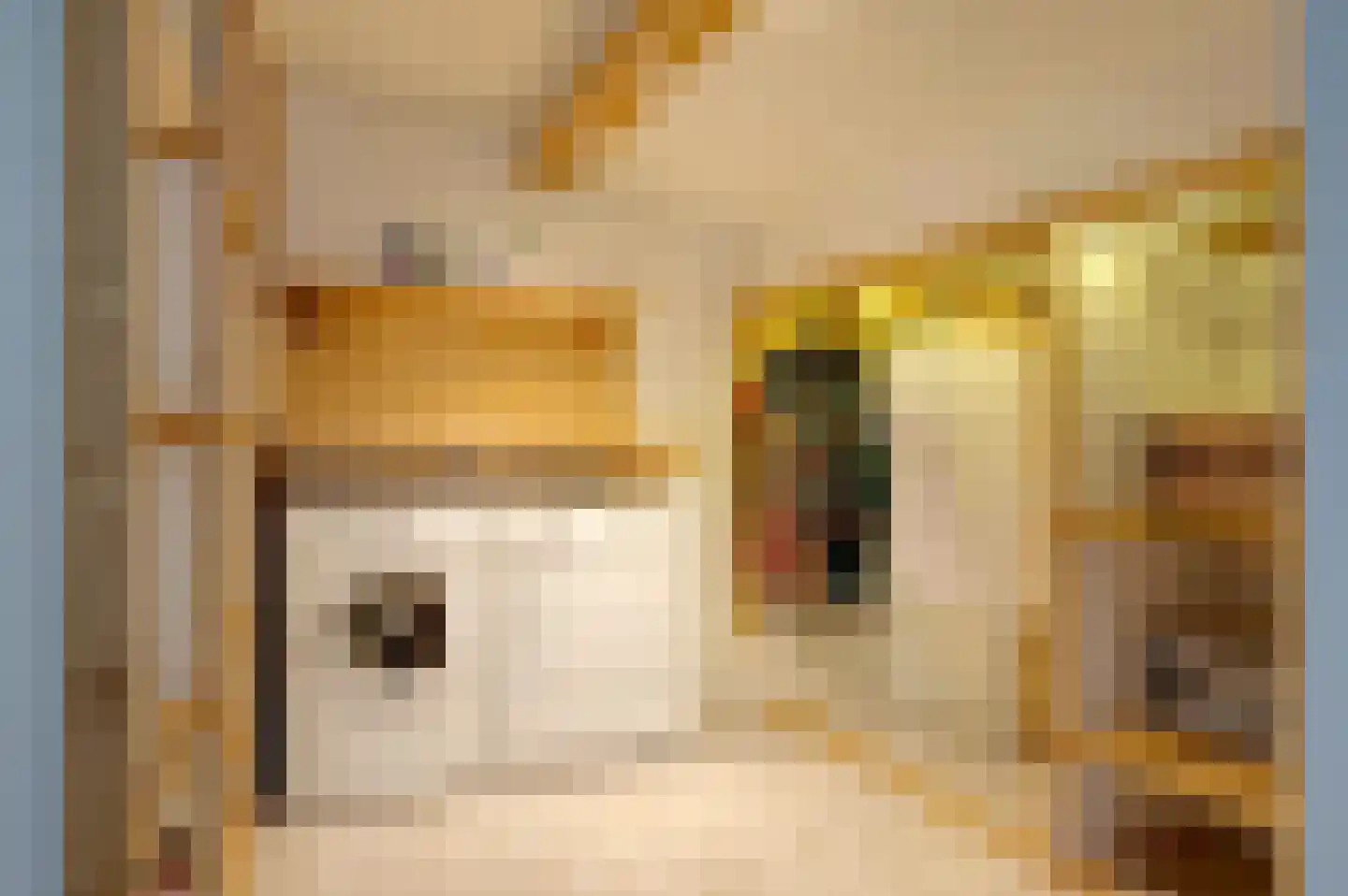 Hoofdstraat 84 Nieuwolda thumbnail 30