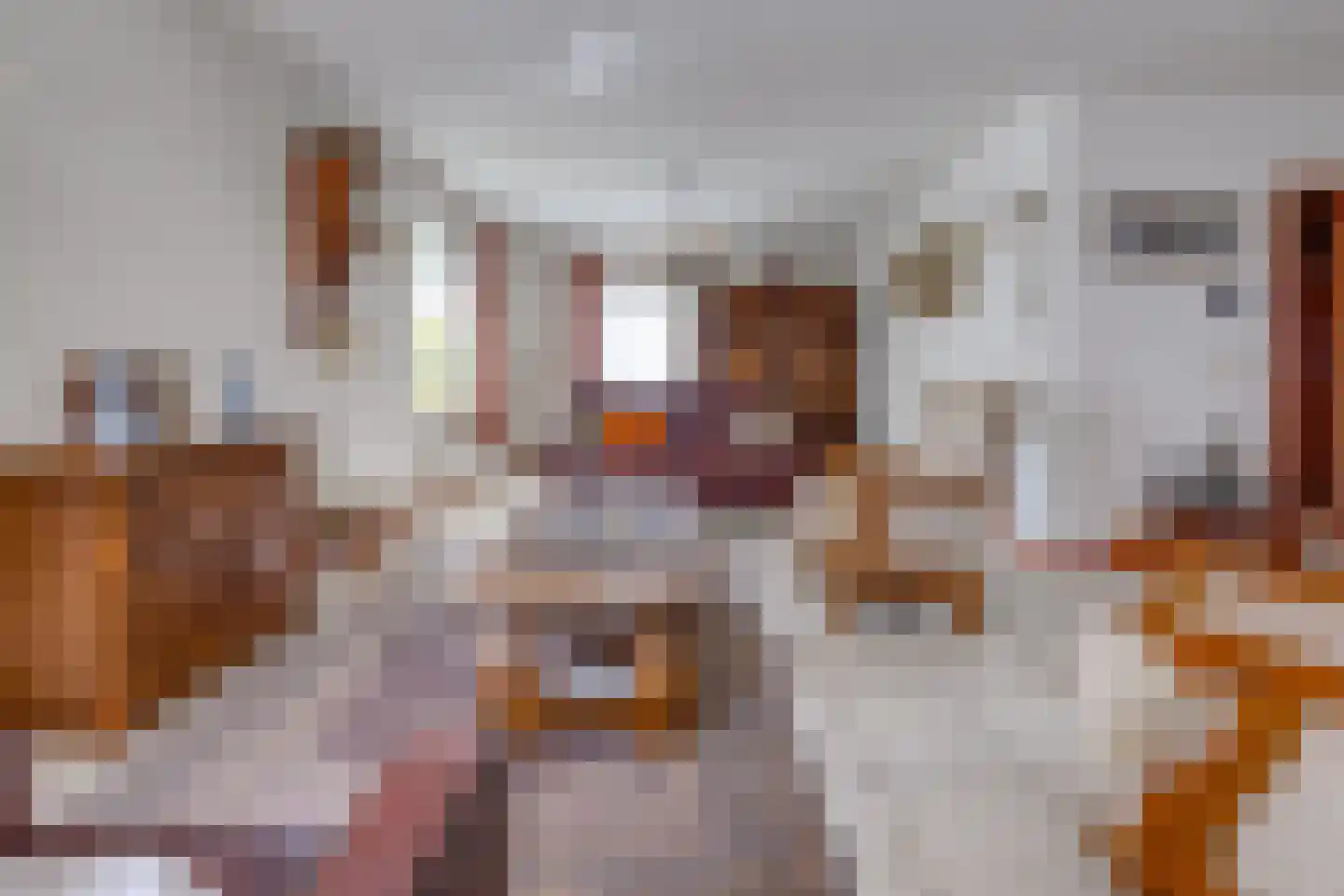 Hoofdstraat 84 Ter Apel thumbnail 10