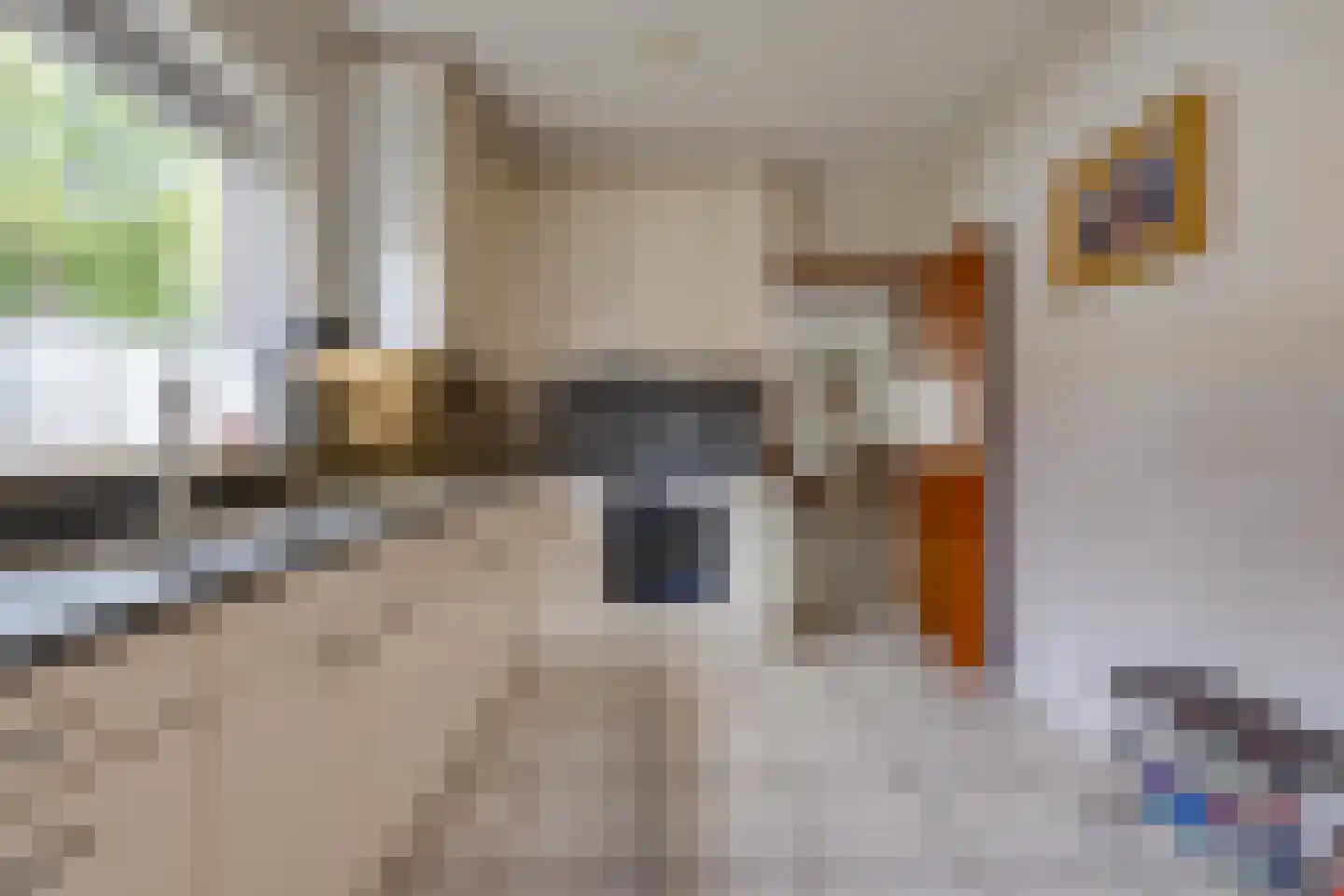 Hoofdstraat 84 Ter Apel thumbnail 17