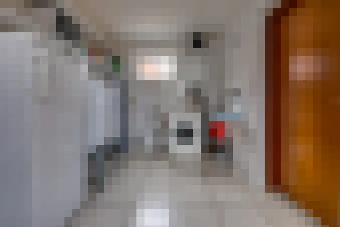 Hoofdstraat 84 Ter Apel thumbnail 19