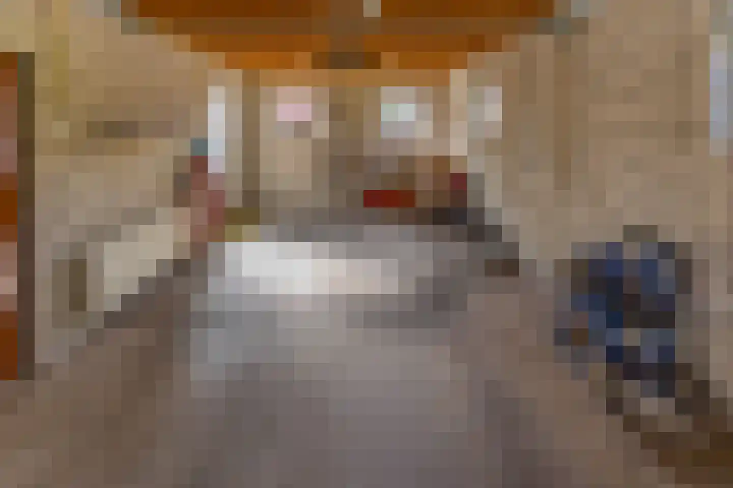 Hoofdstraat 84 Ter Apel thumbnail 21