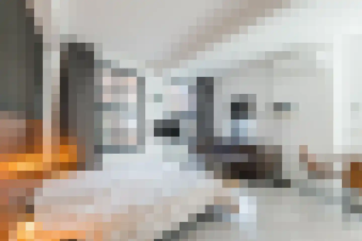 Hoofdstraat 86 Meppel thumbnail 7