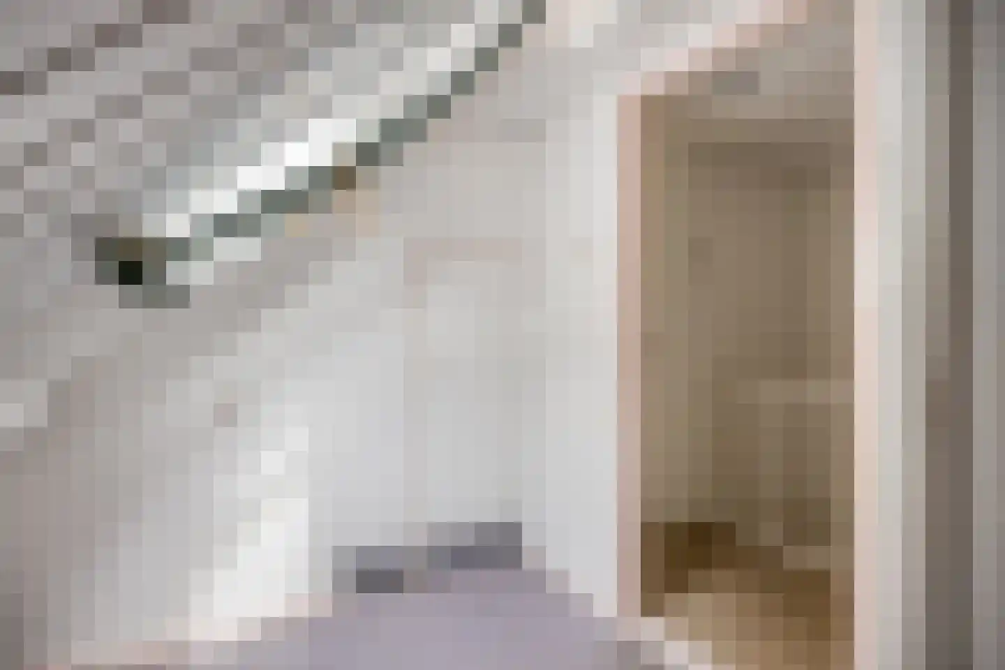 Hoofdstraat 86 Terheijden thumbnail 18