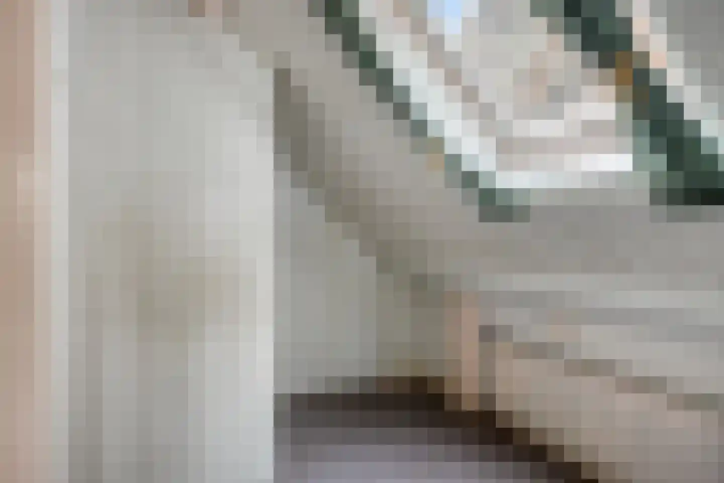 Hoofdstraat 86 Terheijden thumbnail 19