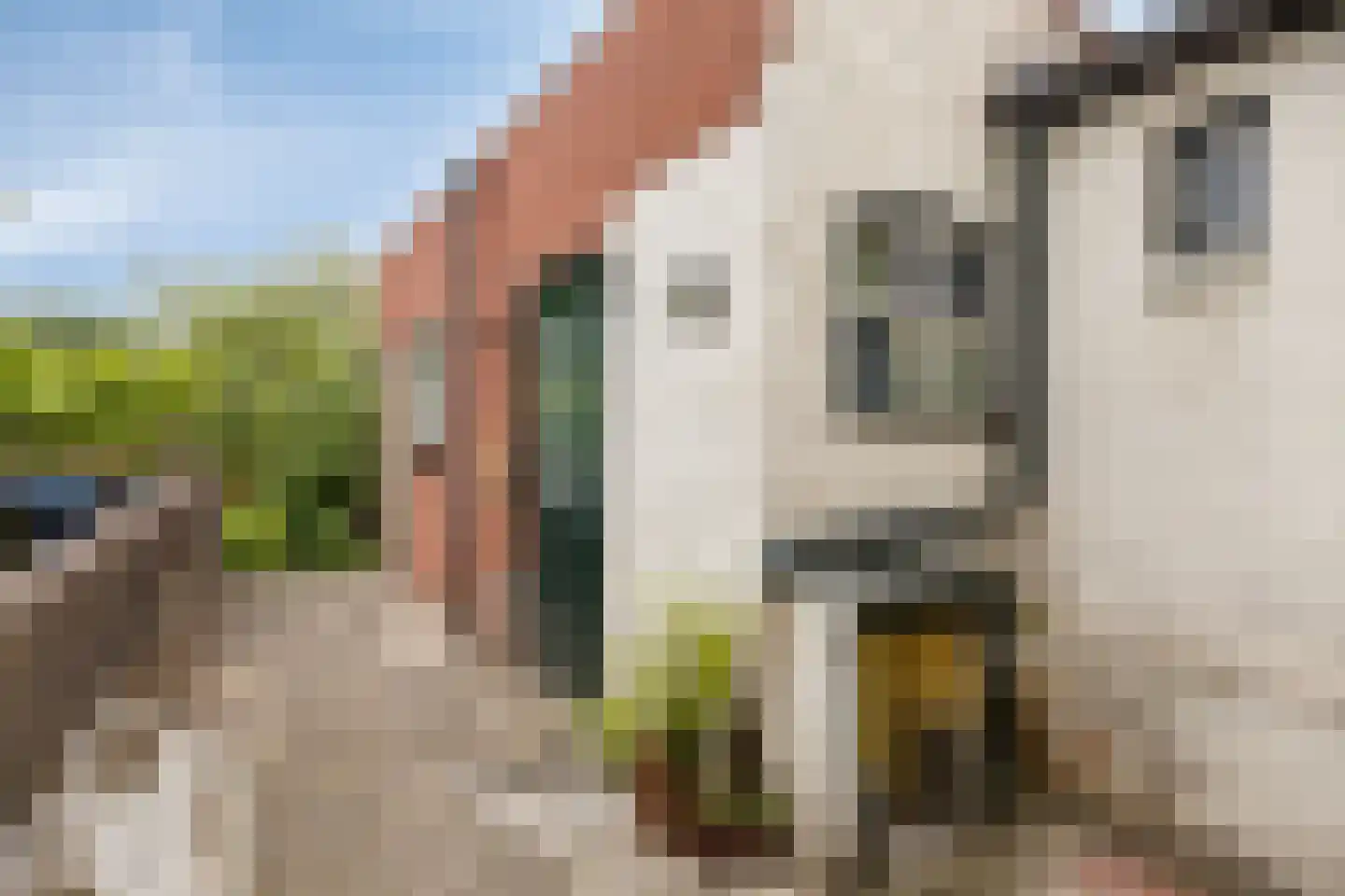 Hoofdstraat 86 Terheijden thumbnail 31