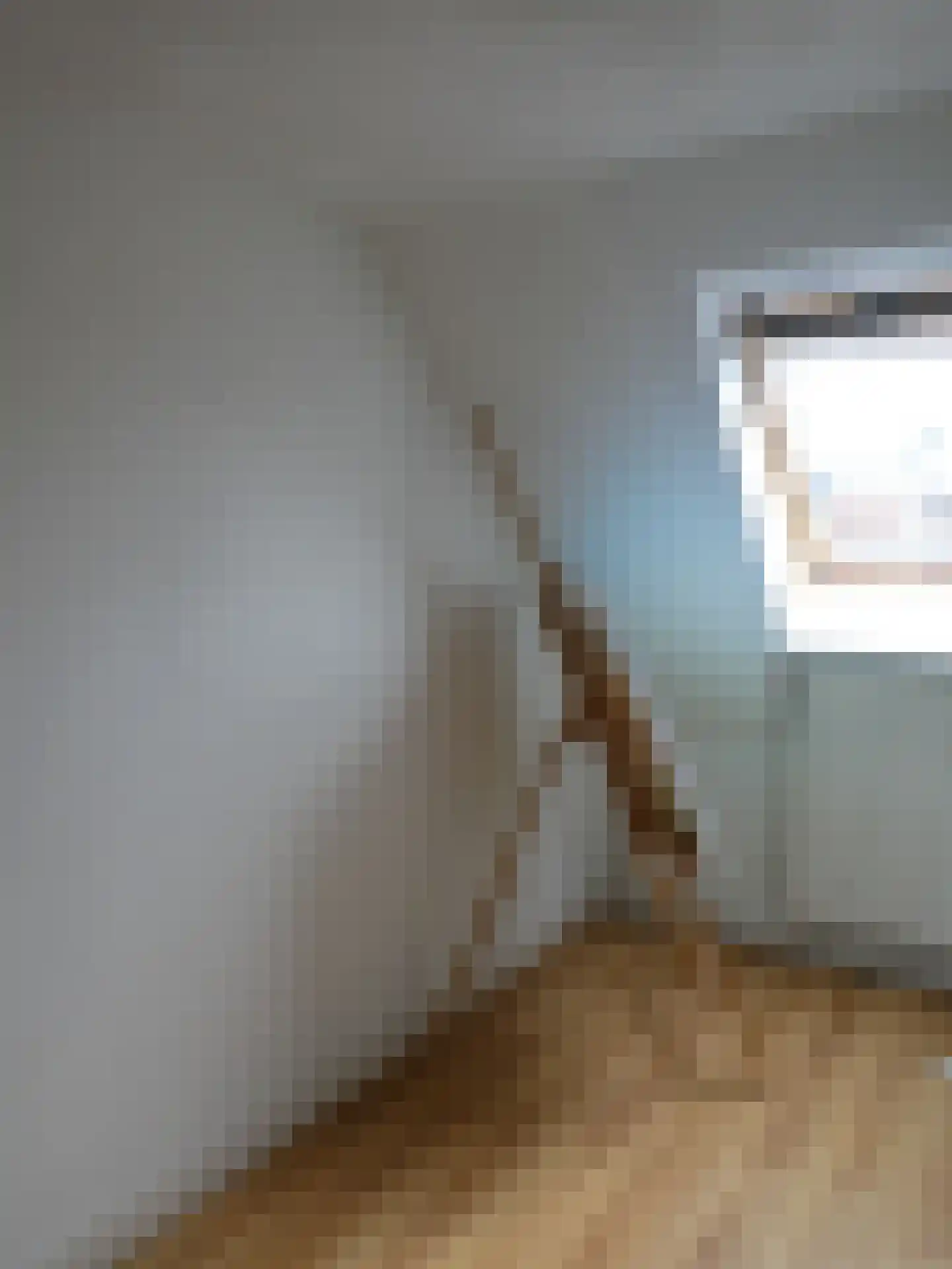Hoofdstraat 87 C Schijndel thumbnail 17