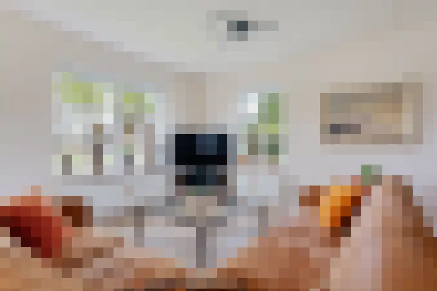 Hoofdstraat 88 Gasselternijveen thumbnail 18