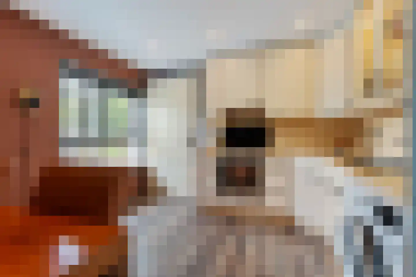Hoofdstraat 88 Gasselternijveen thumbnail 45