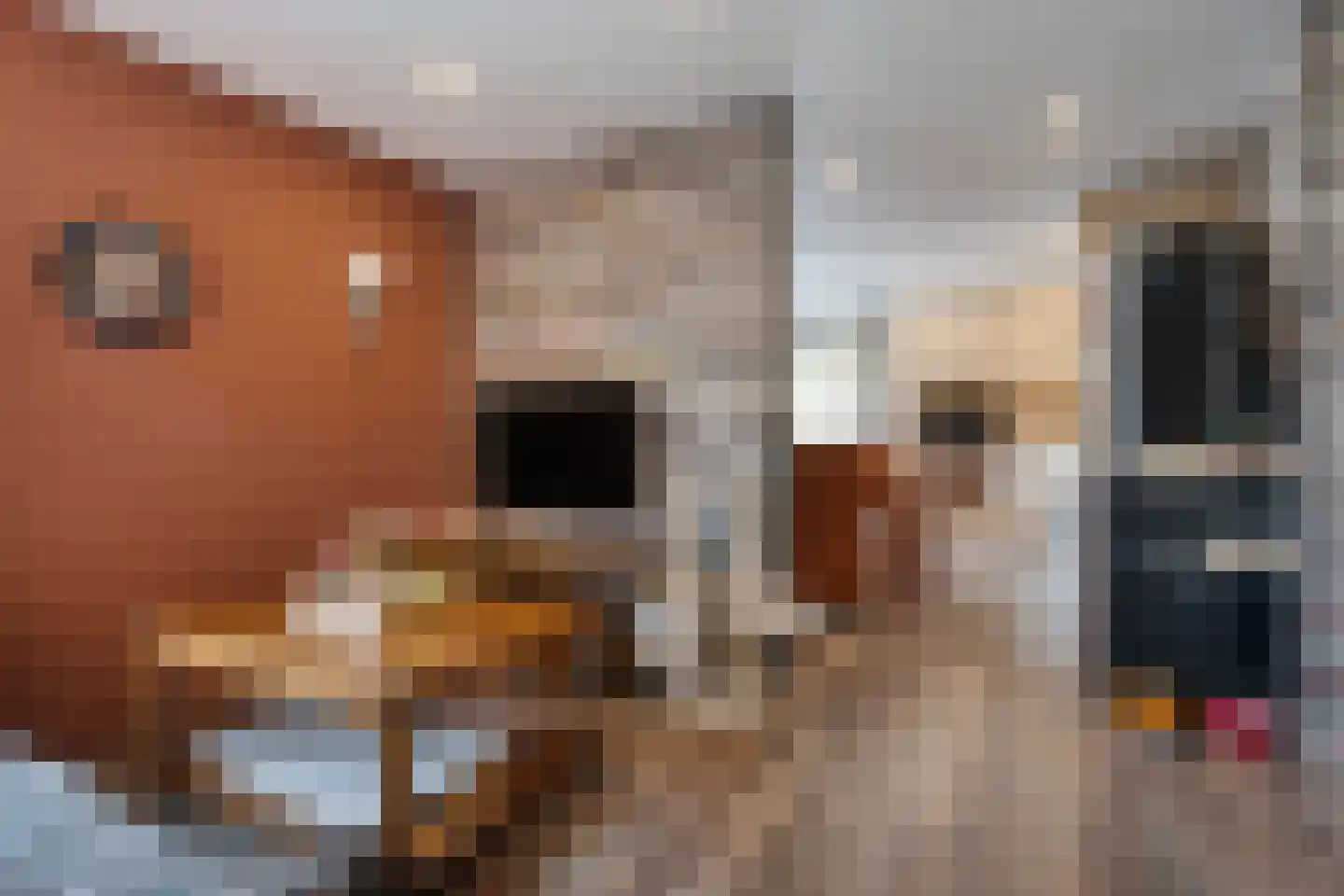 Hoofdstraat 88 Gasselternijveen thumbnail 46