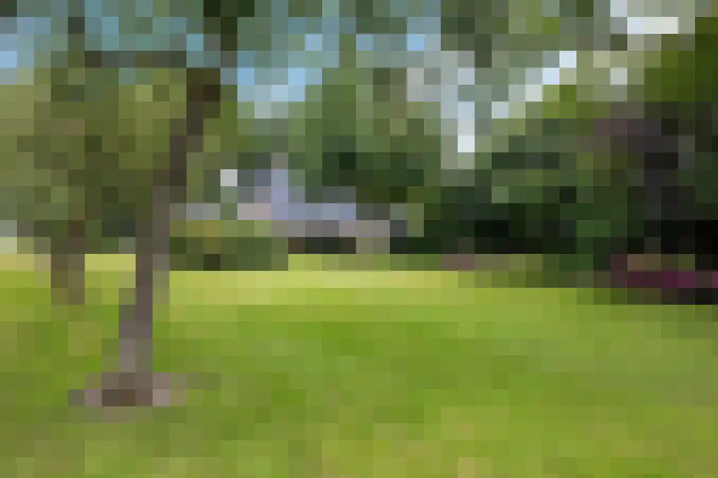 Hoofdstraat 88 Gasselternijveen thumbnail 53