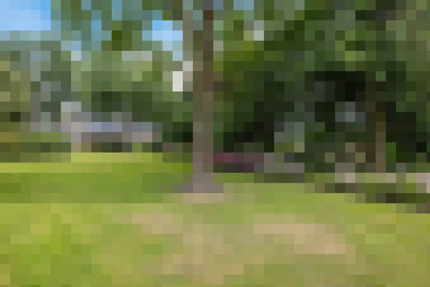 Hoofdstraat 88 Gasselternijveen thumbnail 54
