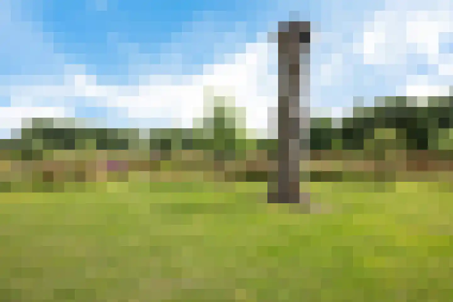 Hoofdstraat 88 Gasselternijveen thumbnail 62