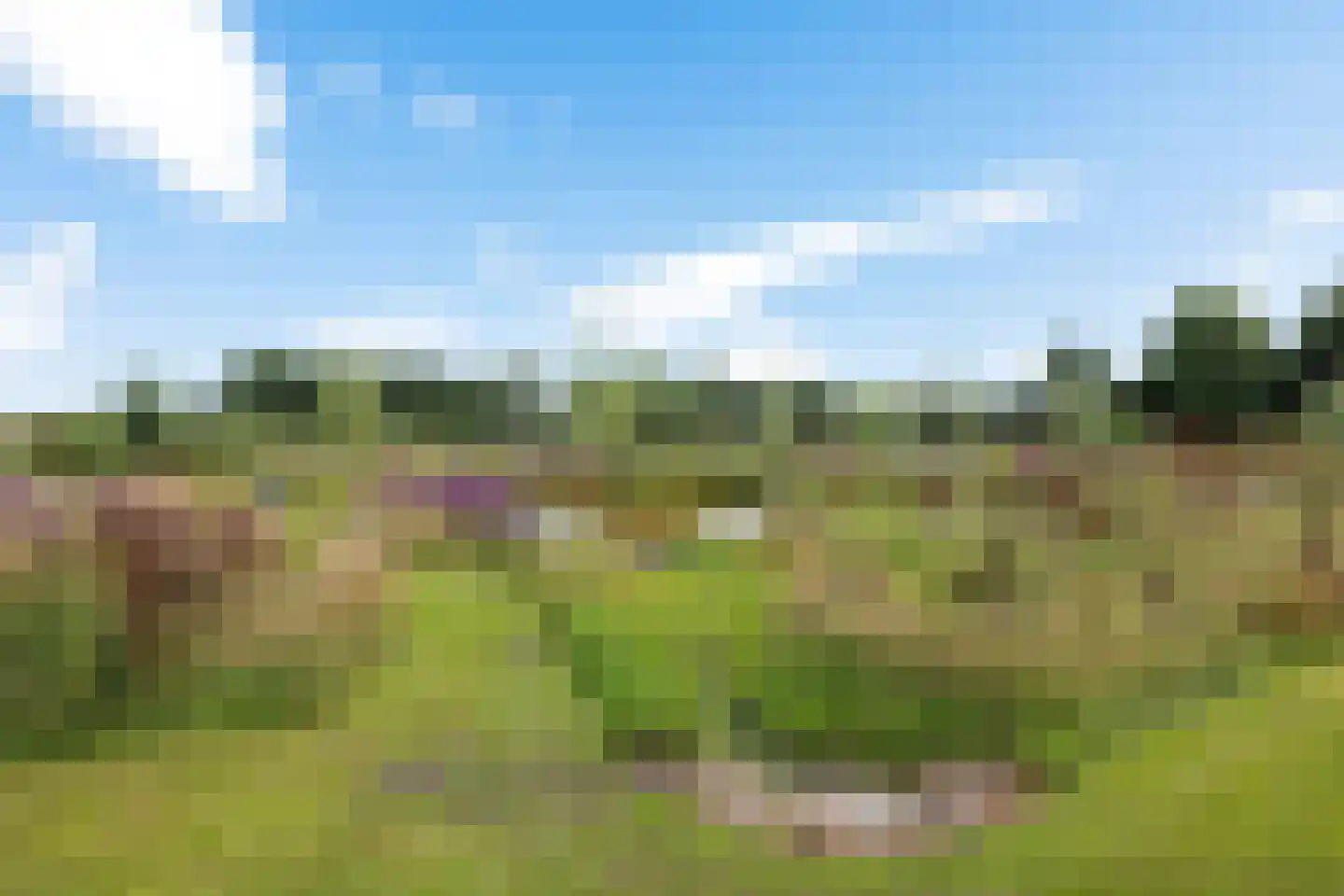 Hoofdstraat 88 Gasselternijveen thumbnail 63