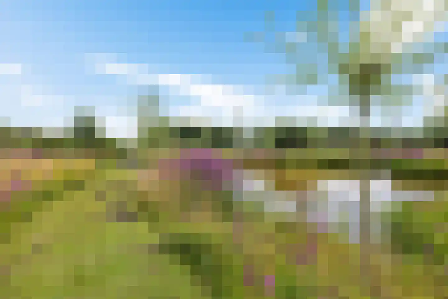Hoofdstraat 88 Gasselternijveen thumbnail 64