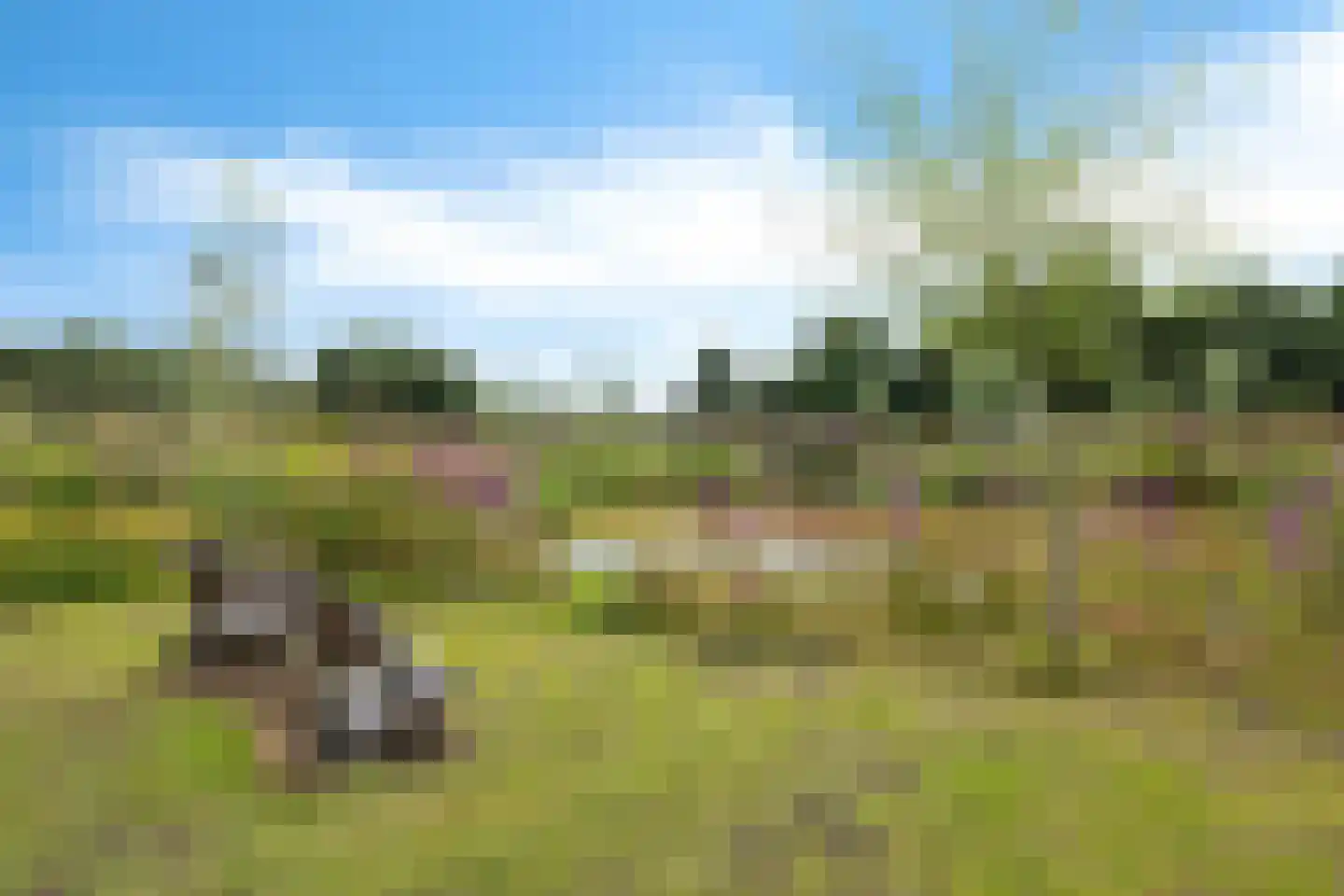 Hoofdstraat 88 Gasselternijveen thumbnail 65