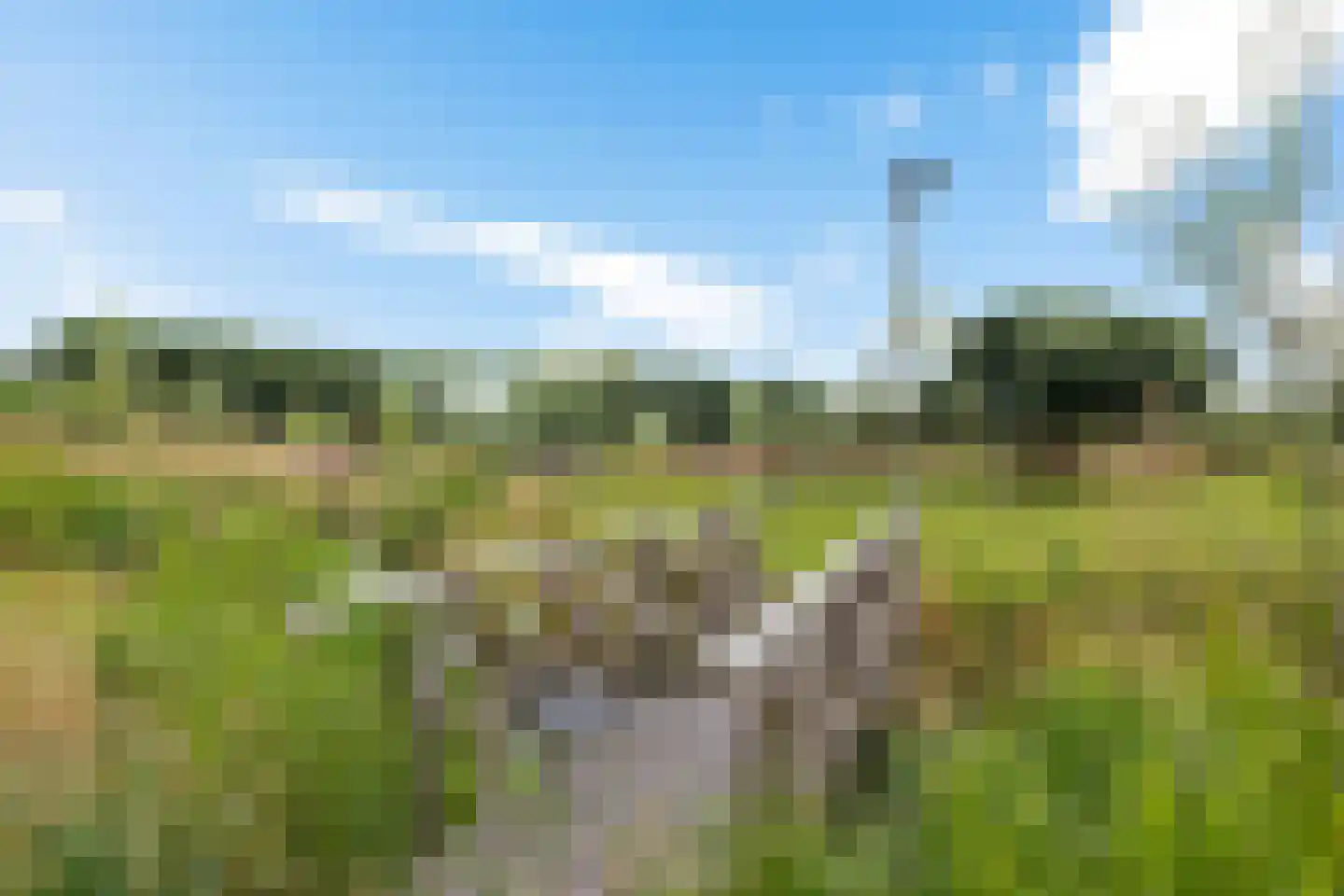 Hoofdstraat 88 Gasselternijveen thumbnail 66