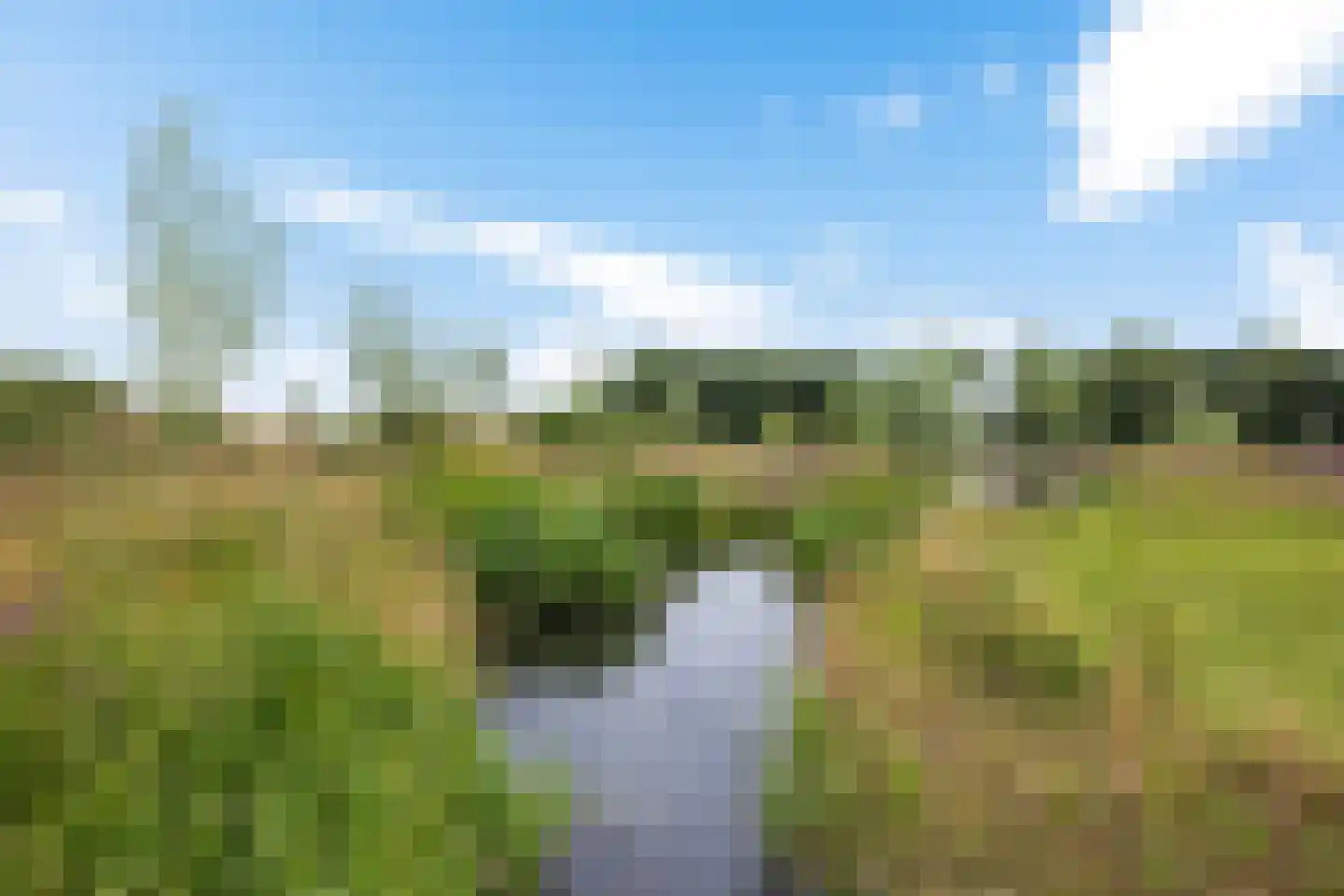 Hoofdstraat 88 Gasselternijveen thumbnail 67