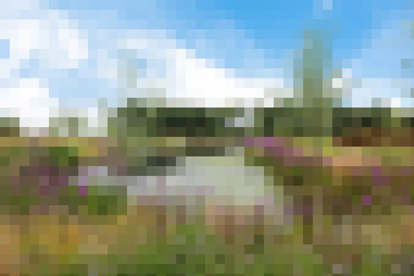 Hoofdstraat 88 Gasselternijveen thumbnail 68