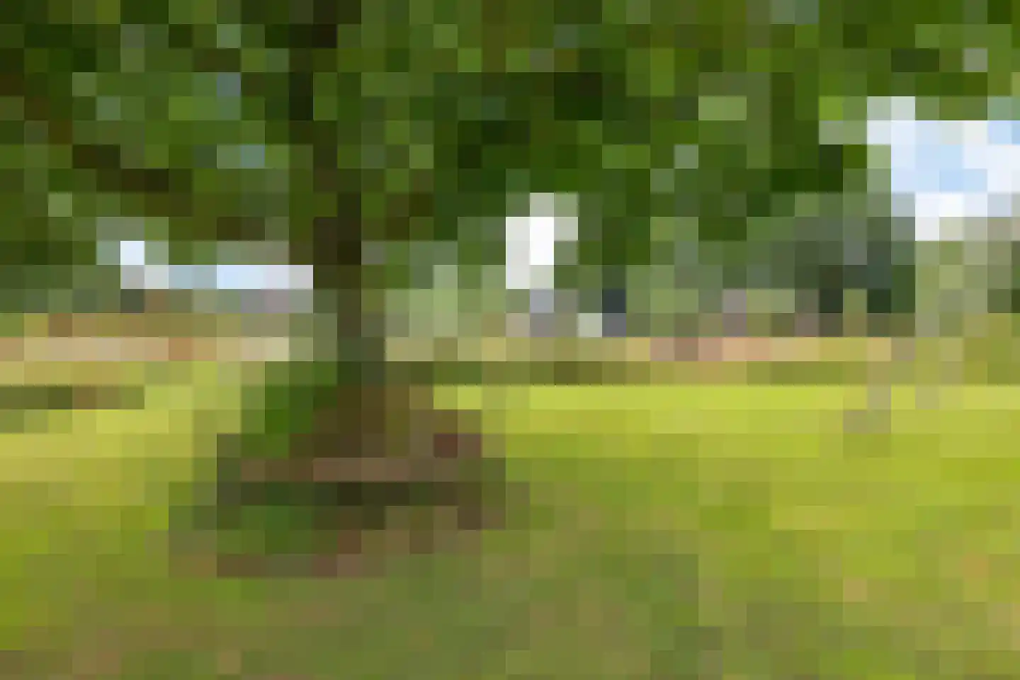 Hoofdstraat 88 Gasselternijveen thumbnail 69