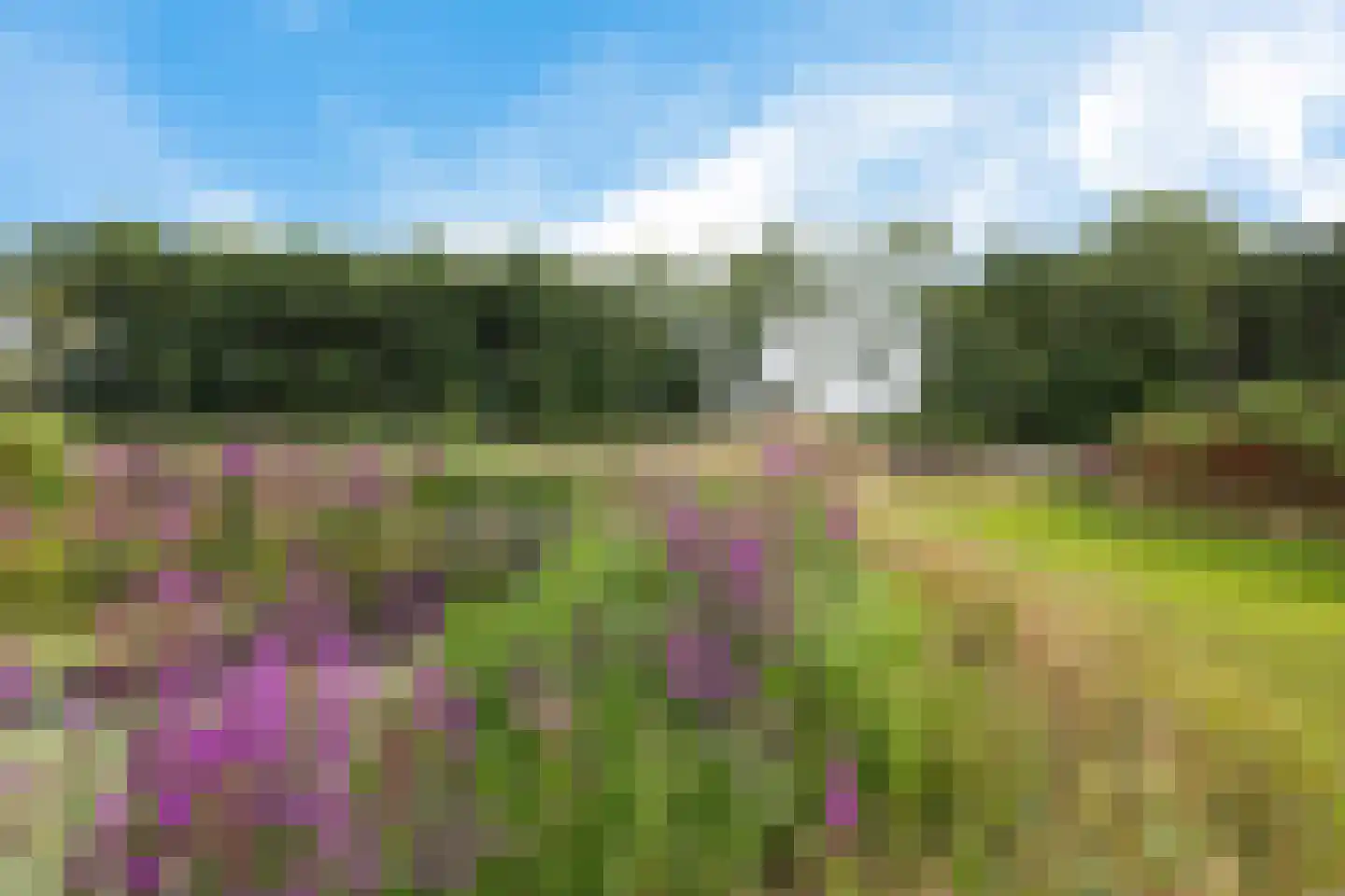 Hoofdstraat 88 Gasselternijveen thumbnail 71