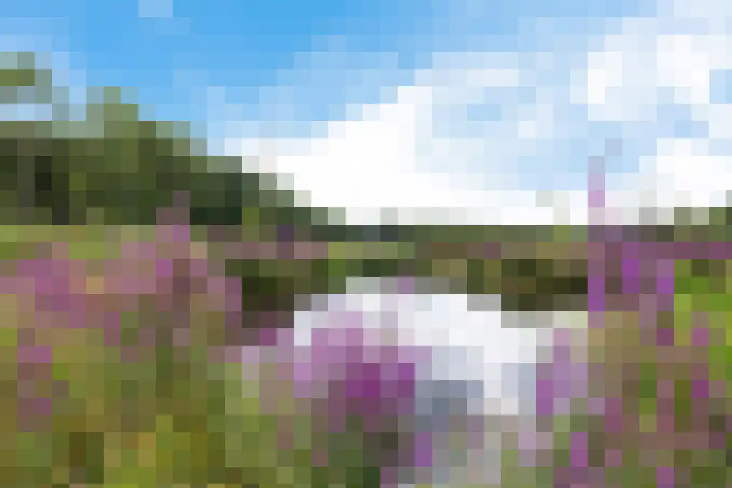 Hoofdstraat 88 Gasselternijveen thumbnail 77
