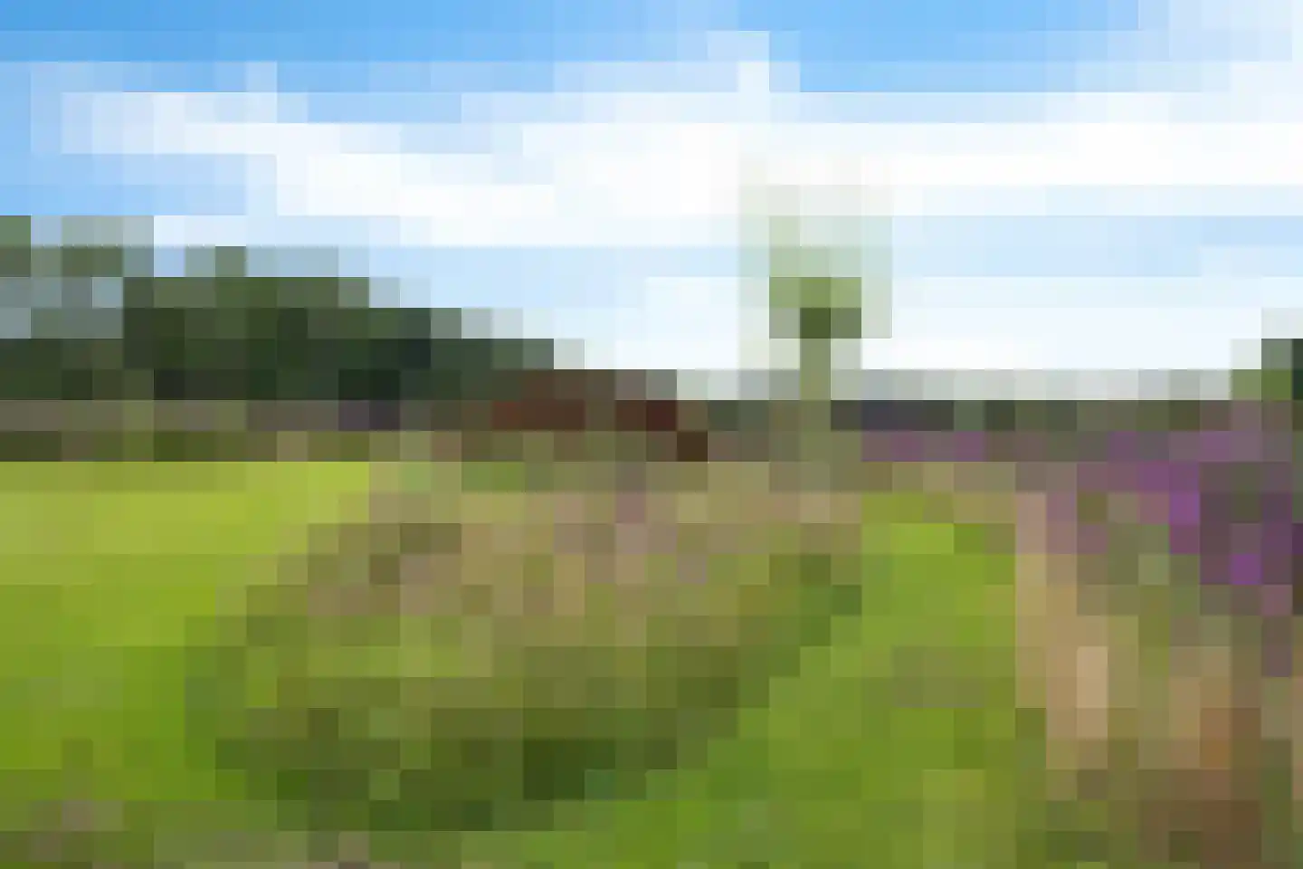 Hoofdstraat 88 Gasselternijveen thumbnail 78