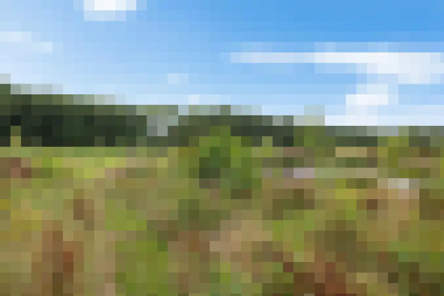 Hoofdstraat 88 Gasselternijveen thumbnail 79