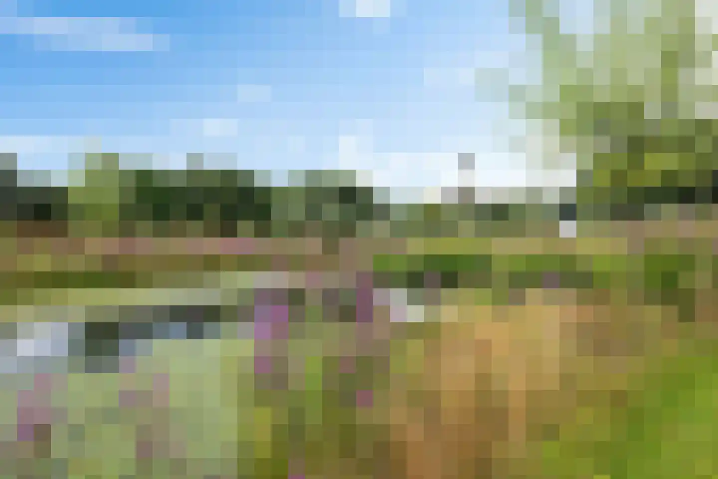 Hoofdstraat 88 Gasselternijveen thumbnail 80