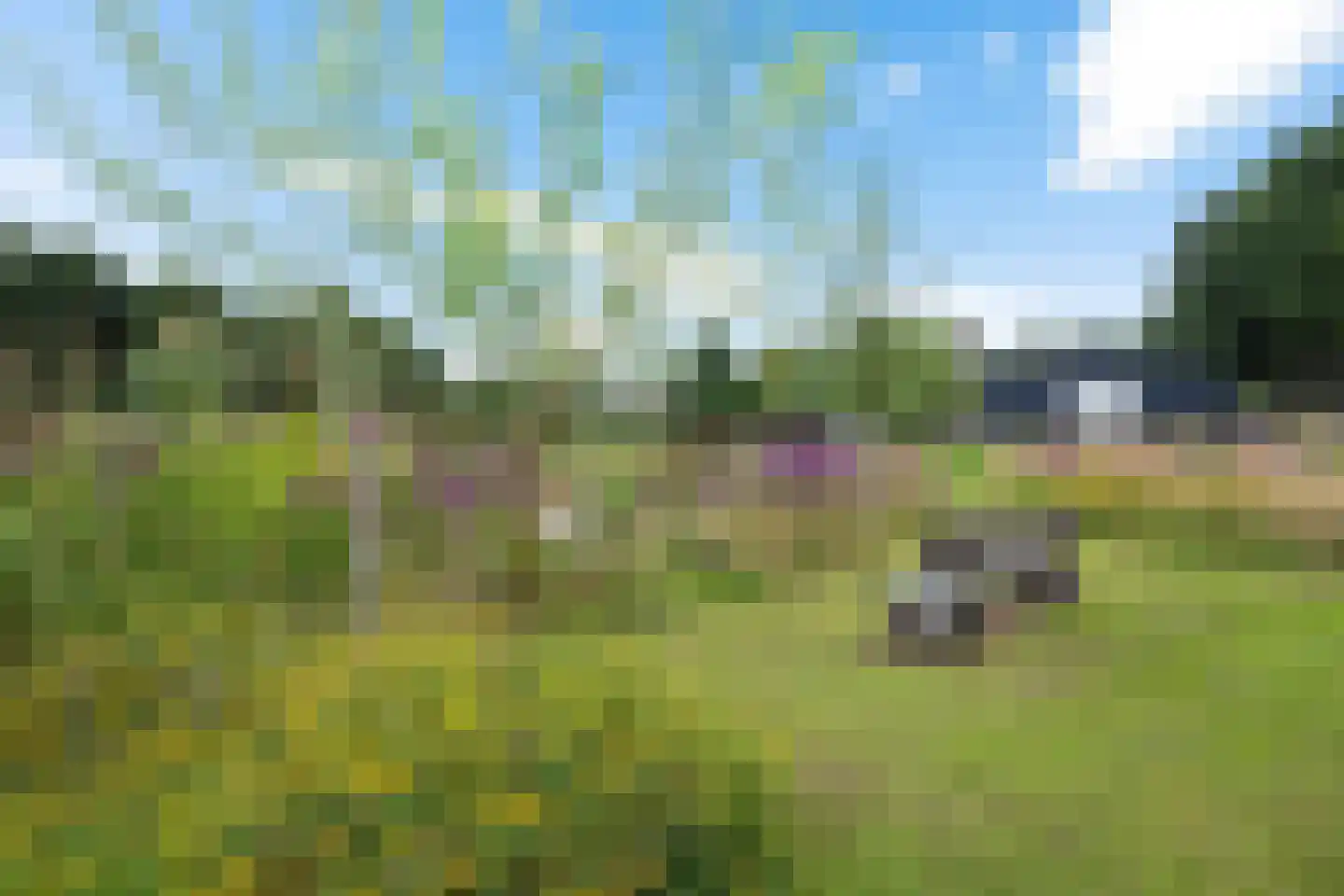 Hoofdstraat 88 Gasselternijveen thumbnail 81