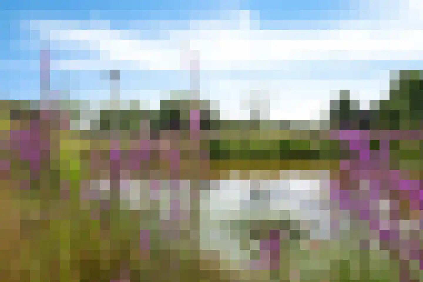 Hoofdstraat 88 Gasselternijveen thumbnail 82