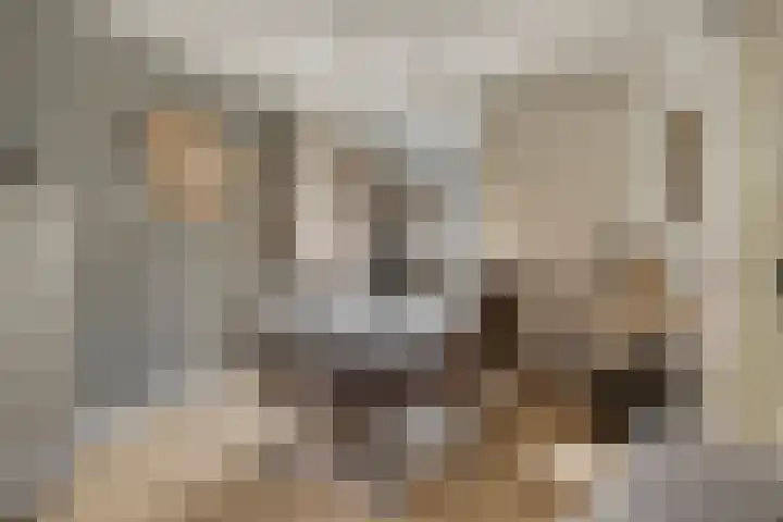 Hoofdstraat 88 Overdinkel thumbnail 11