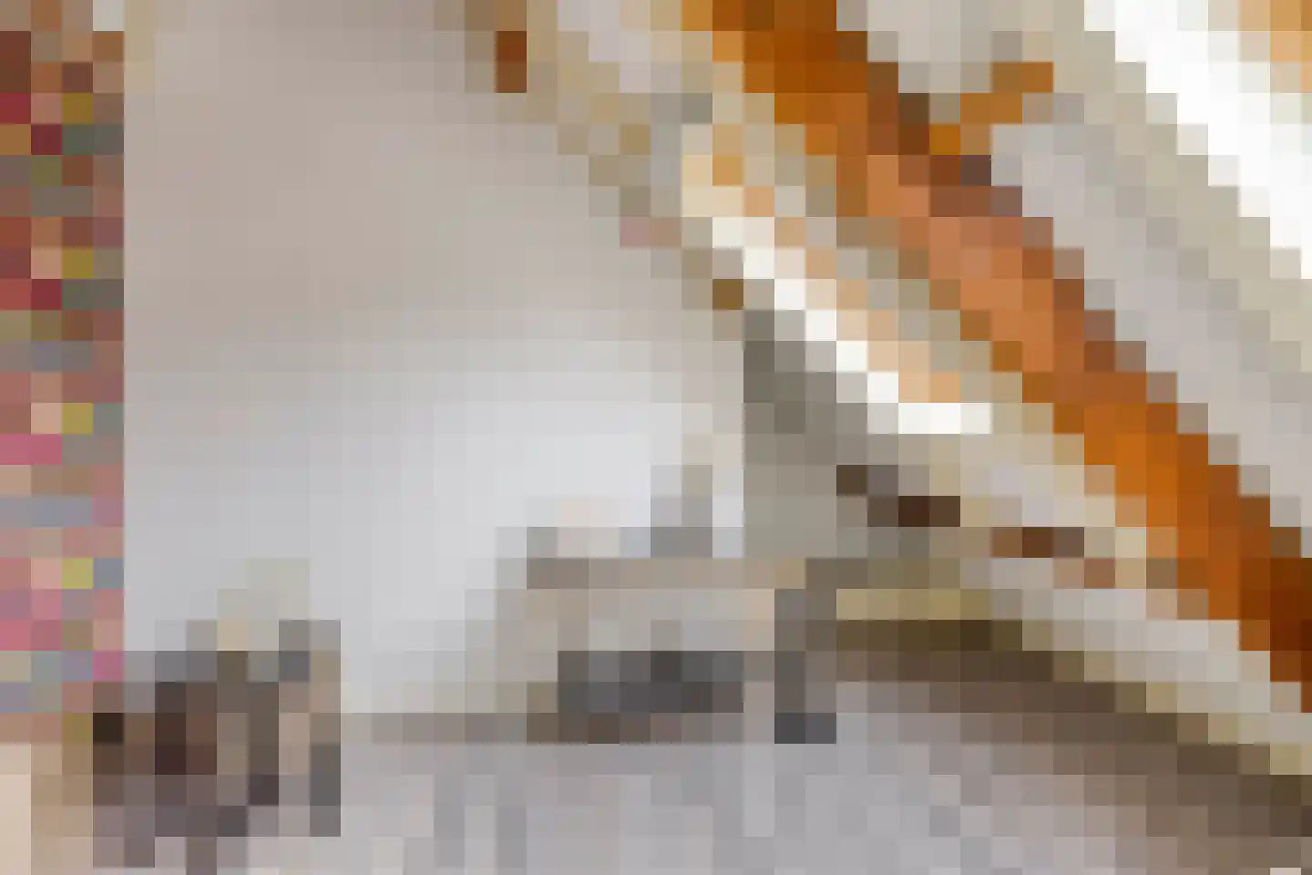 Hoofdstraat 88 Overdinkel thumbnail 26