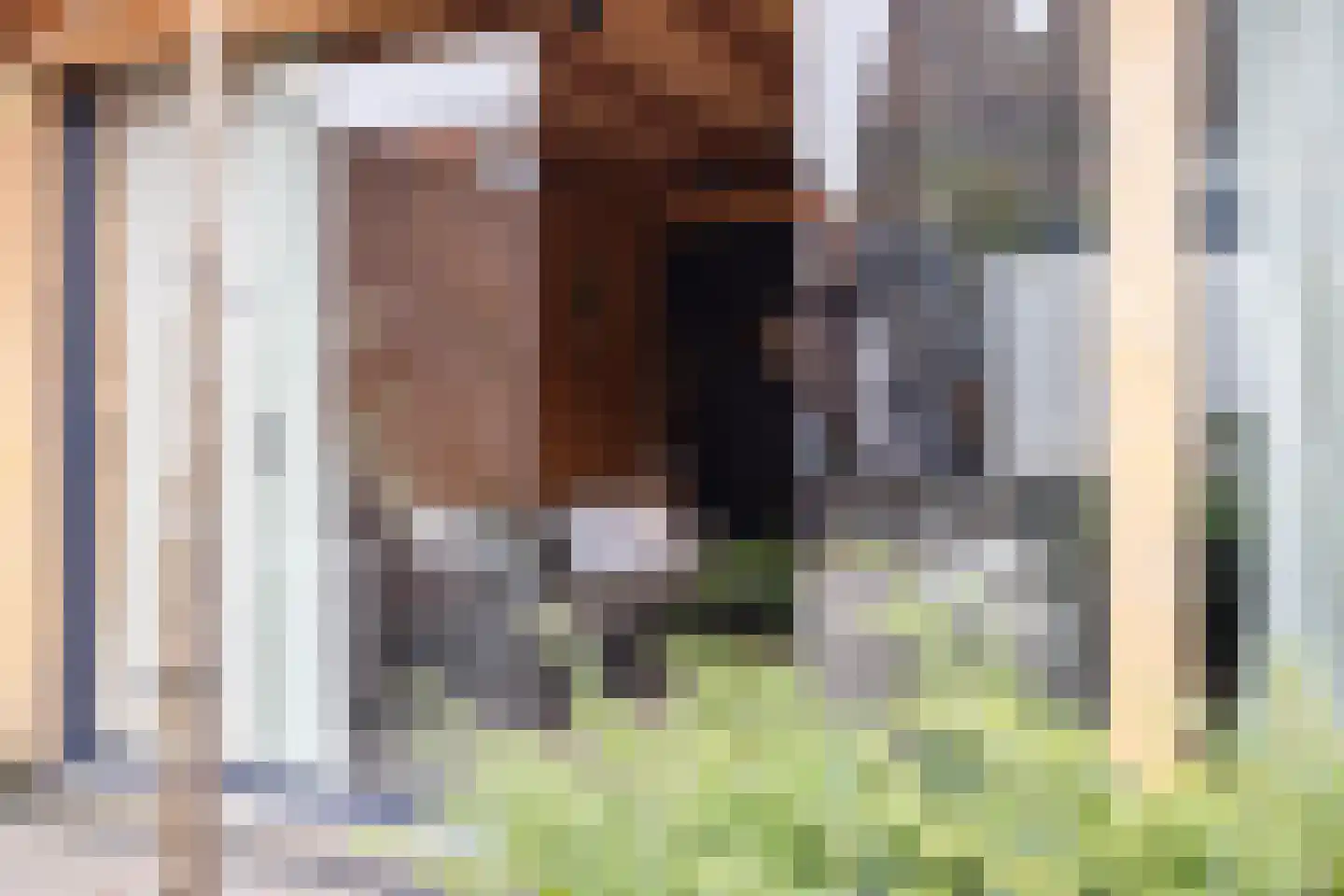 Hoofdstraat 88 Overdinkel thumbnail 30
