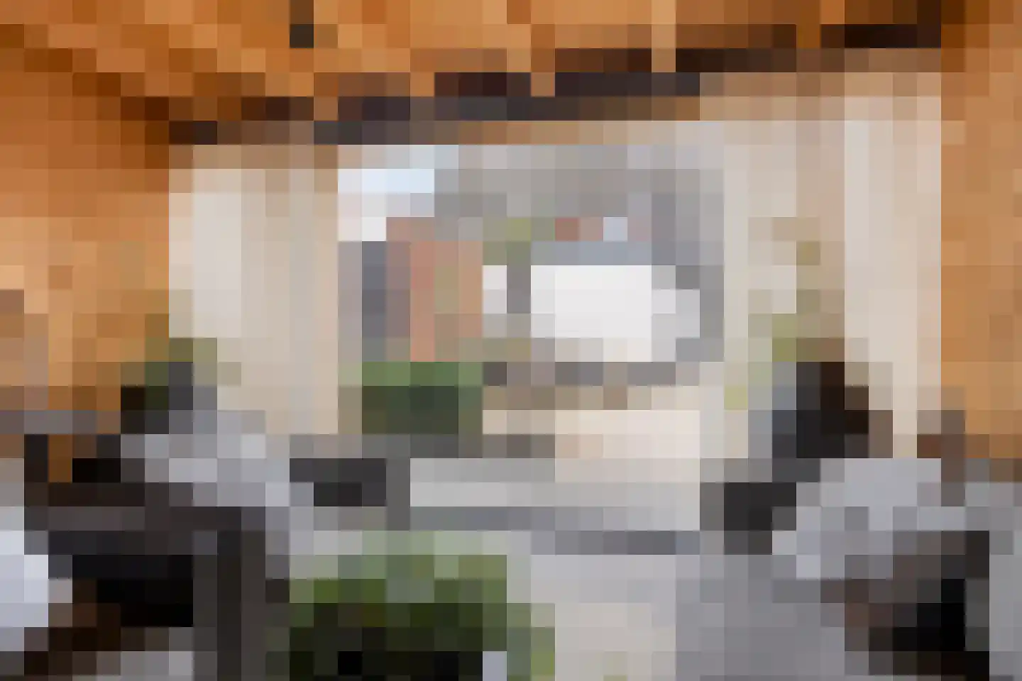 Hoofdstraat 88 Overdinkel thumbnail 32