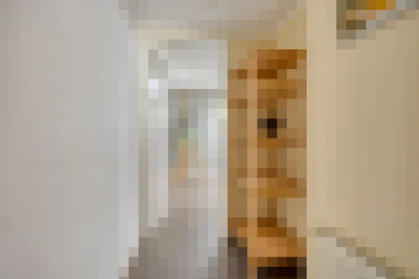 Hoofdstraat 88 Overdinkel thumbnail 33
