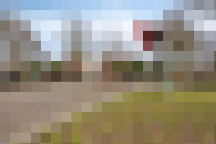 Hoofdstraat 88 Overdinkel thumbnail 38