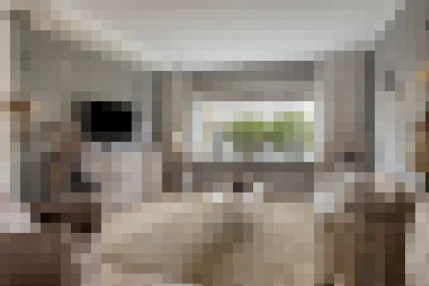 Hoofdstraat 88 Overdinkel thumbnail 6