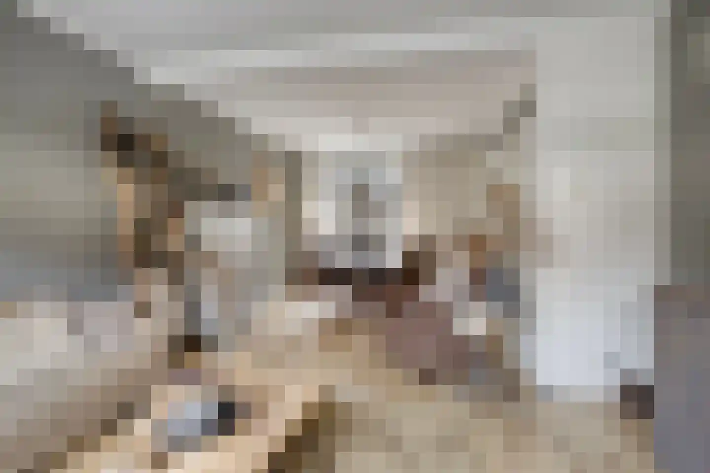 Hoofdstraat 88 Overdinkel thumbnail 8