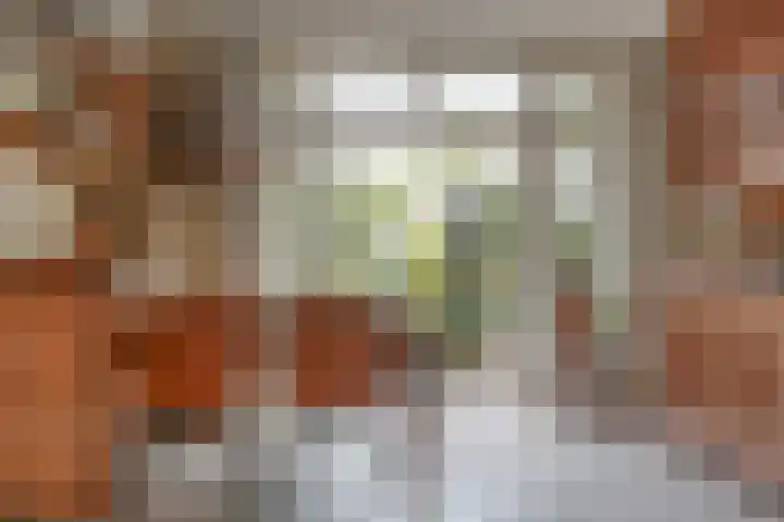 Hoofdstraat 88 Santpoort-Noord thumbnail 14