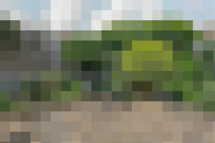 Hoofdstraat 88 Santpoort-Noord thumbnail 50