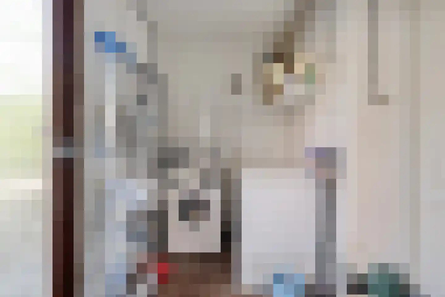 Hoofdstraat 88 Schimmert thumbnail 19