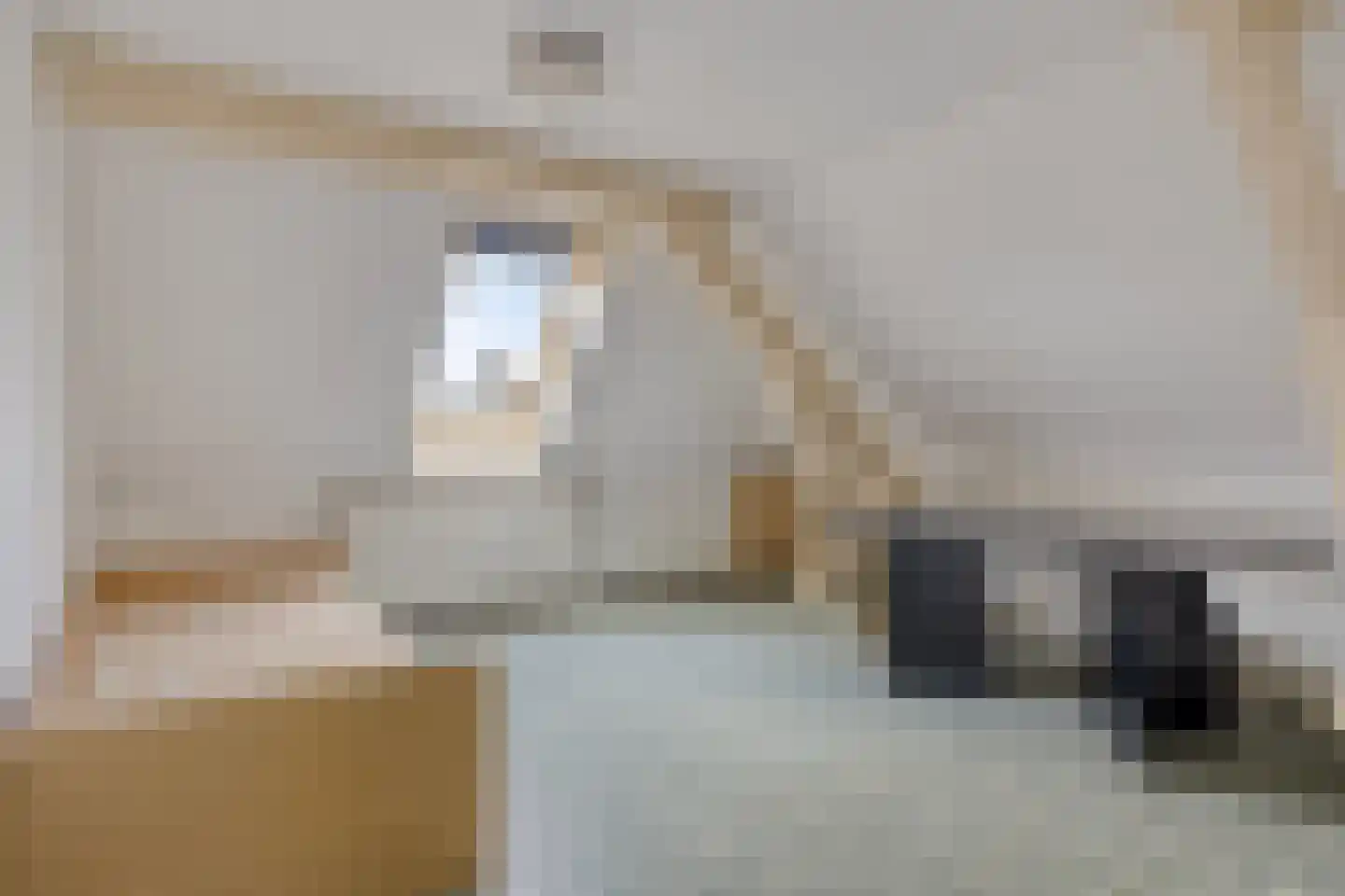 Hoofdstraat 88 Schimmert thumbnail 37