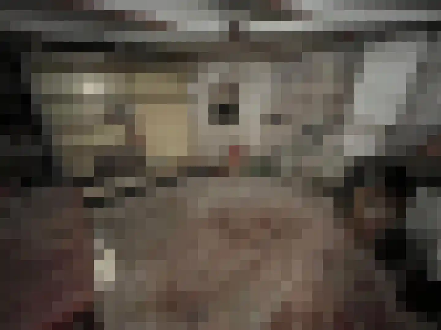 Hoofdstraat 88 Schimmert thumbnail 43