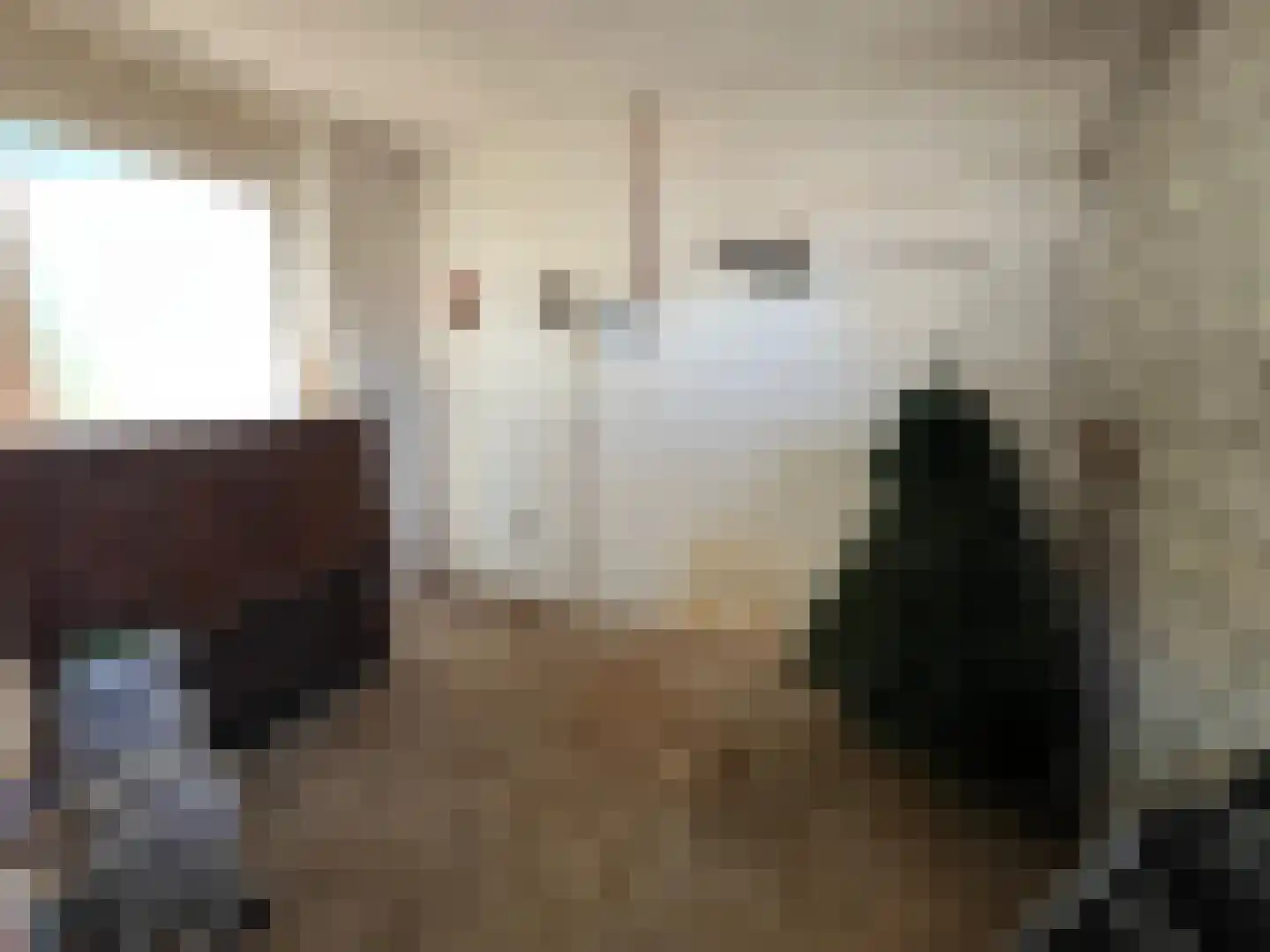 Hoofdstraat 88 Schimmert thumbnail 44