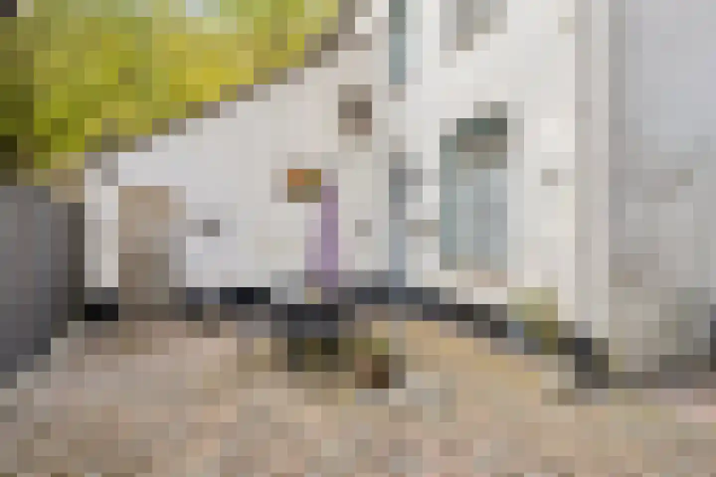 Hoofdstraat 88 Schimmert thumbnail 45