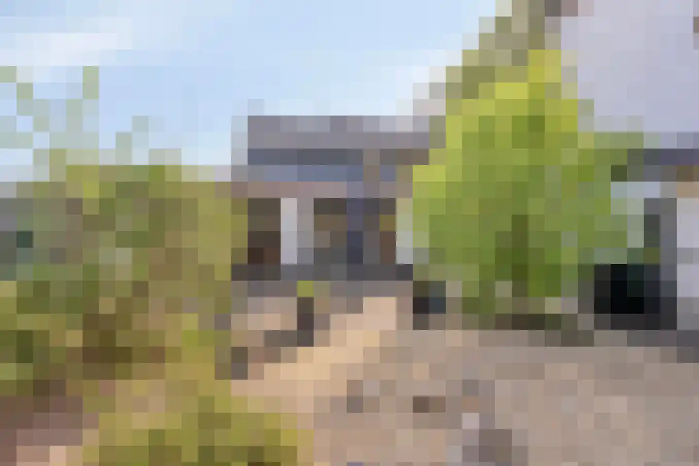 Hoofdstraat 88 Schimmert thumbnail 51