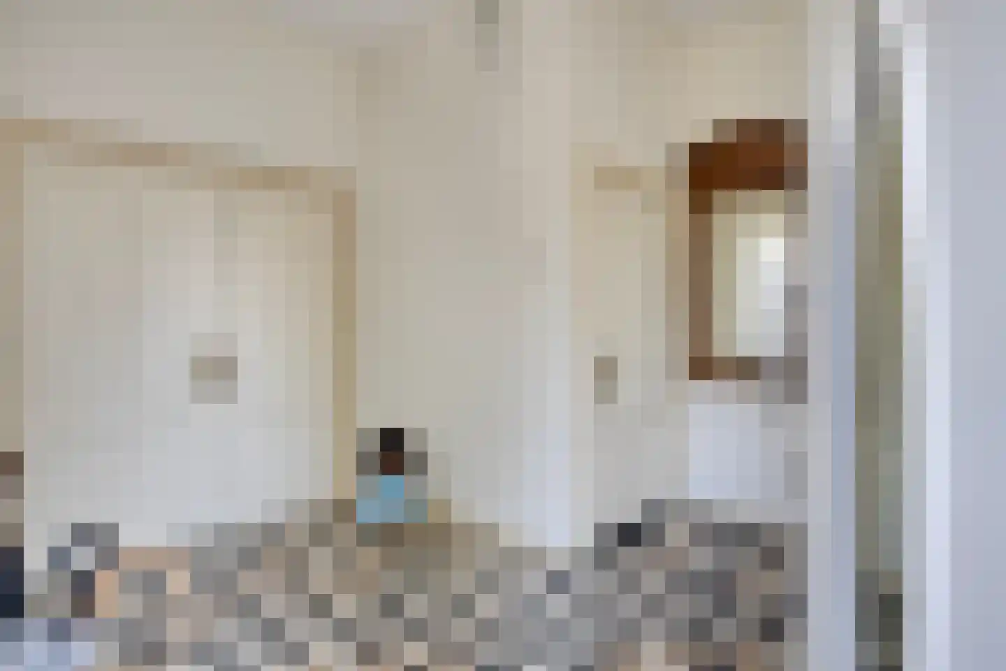 Hoofdstraat 88 Schimmert thumbnail 8