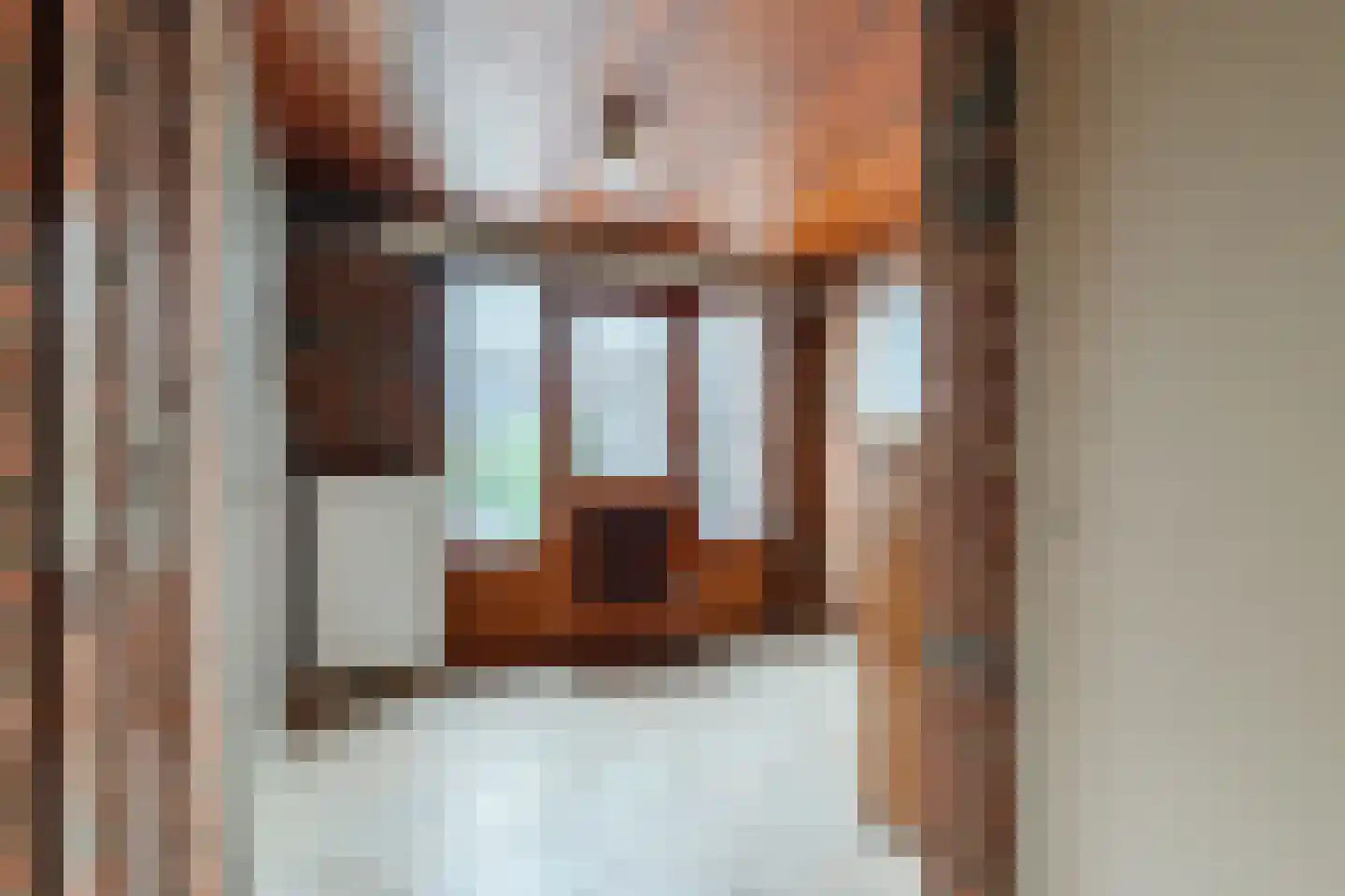 Hoofdstraat 88 Valthe thumbnail 17