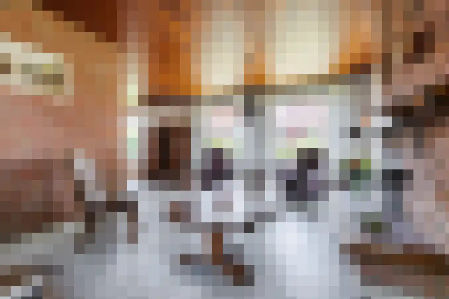 Hoofdstraat 88 Valthe thumbnail 7