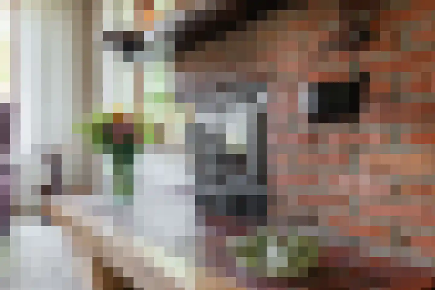 Hoofdstraat 88 Valthe thumbnail 8